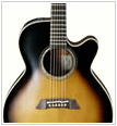 Takamine G系列