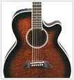 Takamine Pro系列