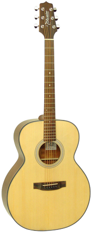 Takamine Guitars D50 N/TBS